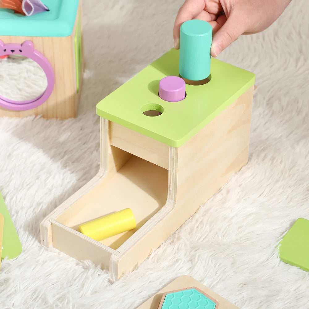 Montessori Wooden Toys Set Exercise The Hand-Eye Coordination Logic Ability Of Children Months 9-12Early Childhood Games Gifts