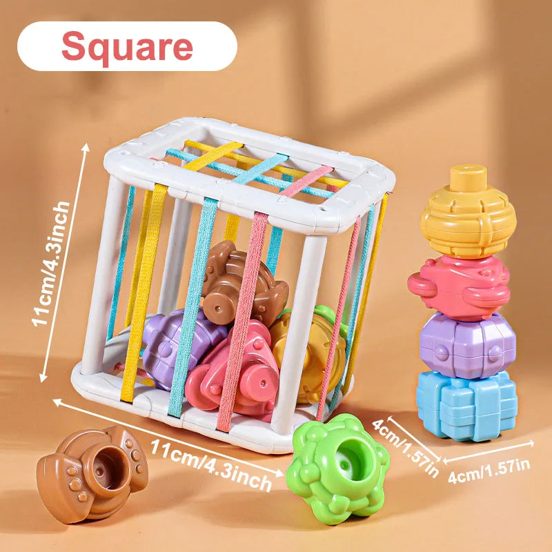 Montessori Baby Toys 18 Months Sensory Development Learning Educational Toys Colorful Blocks Sorting Game For Babies Infant