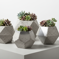 Concrete Planter Detail